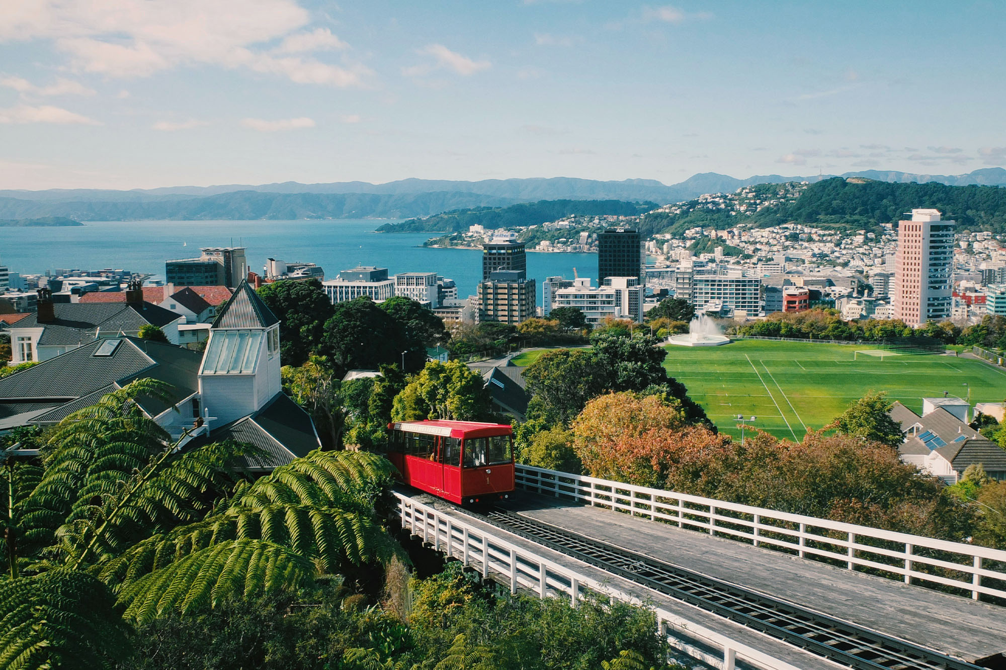 "Wellington