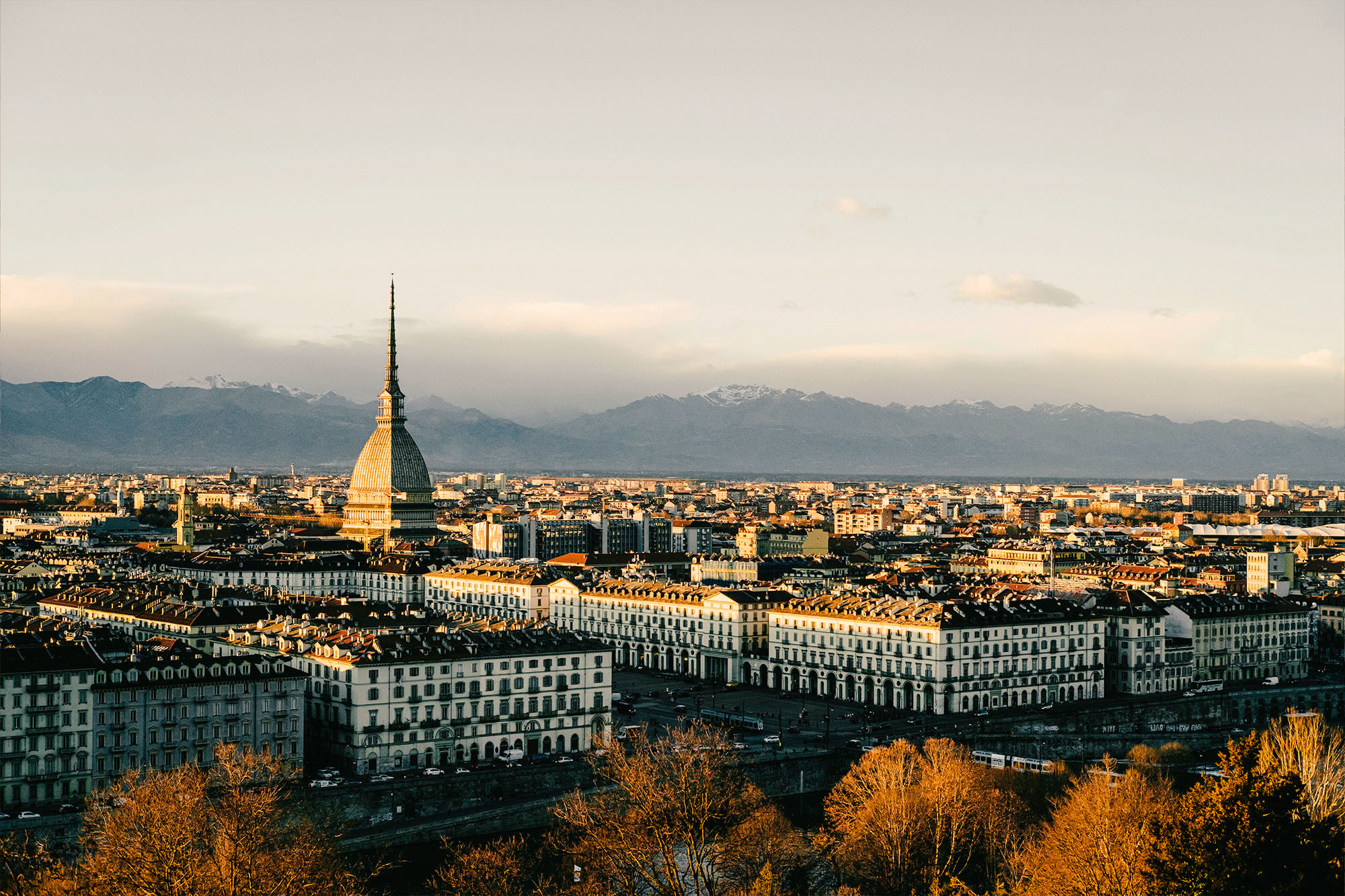 "torino