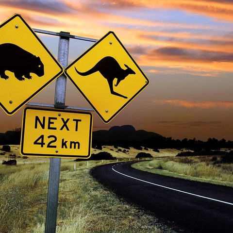 bigstockphoto_Australian_Road_Sign_19483611