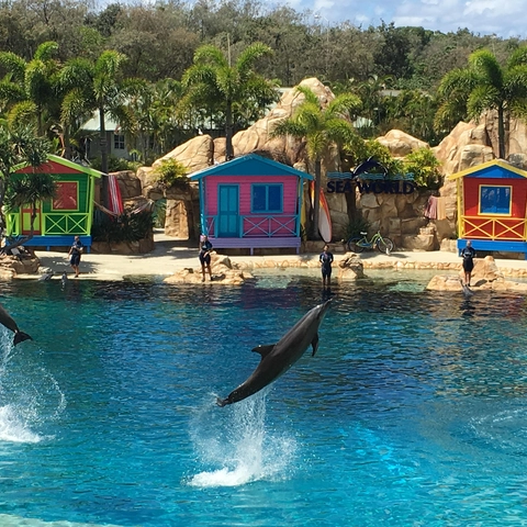 seaworld3